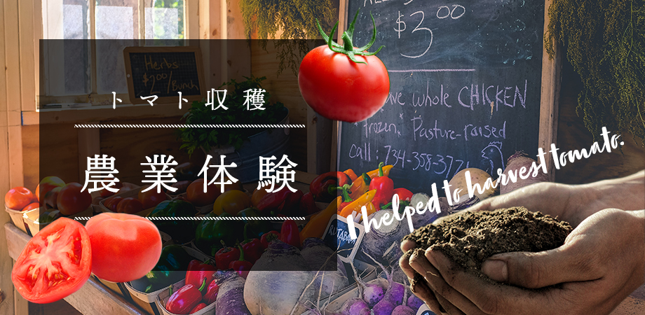 農業体験